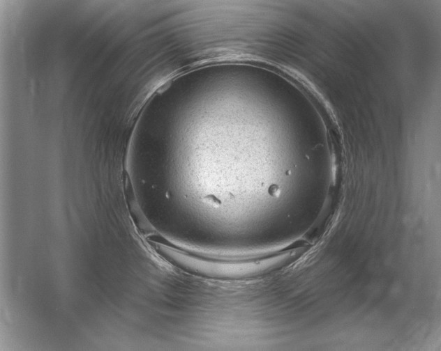 X0000067531289200604150216