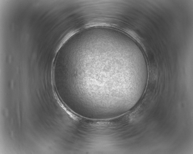 X0000067531290200604150216