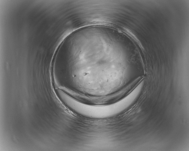 X0000067531291200604150216