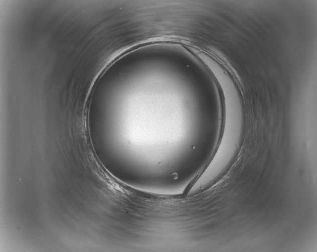 X0000067531292200604150216