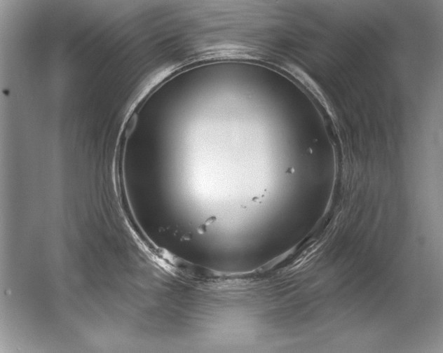 X0000067531293200604150216