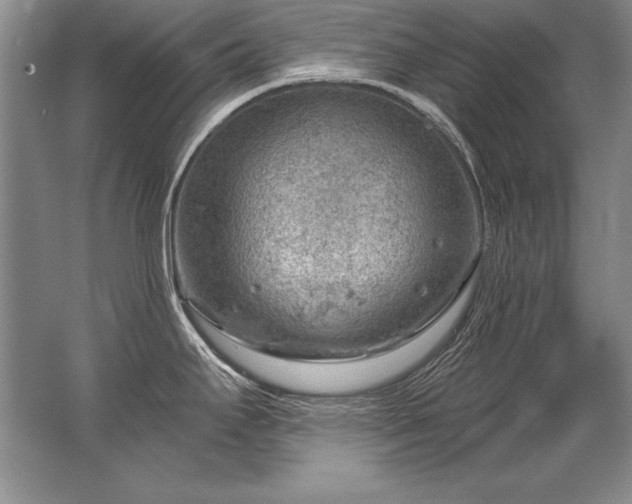 X0000067531295200604150216