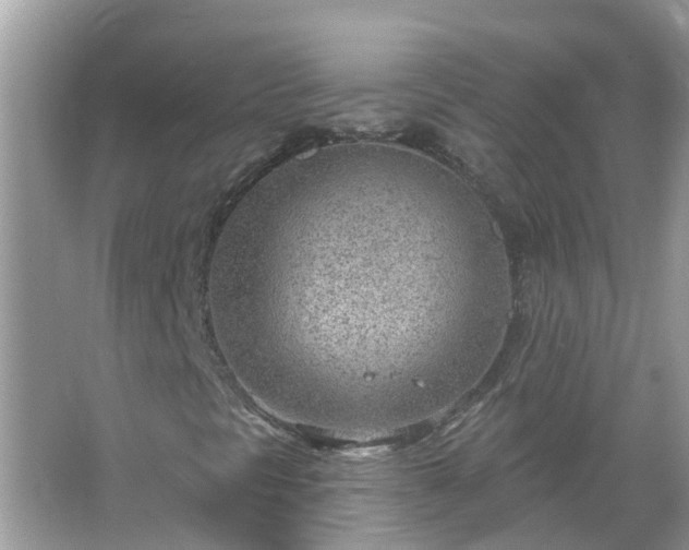 X0000067531297200604150215