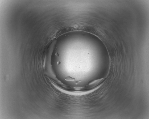 X0000067531298200604150215