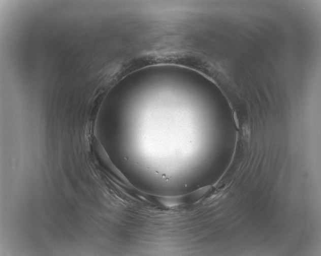 X0000067531300200604150215