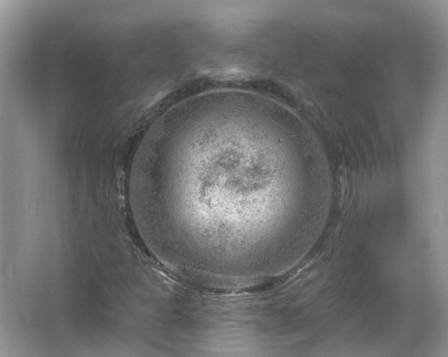 X0000067531301200604150215