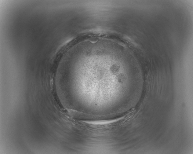 X0000067531302200604150215