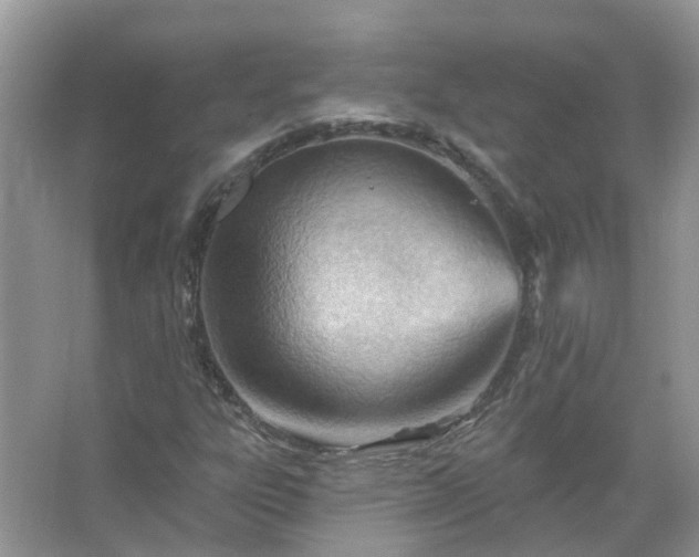 X0000067531303200604150215