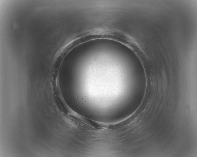 X0000067531304200604150215