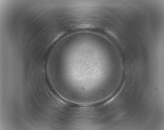 X0000067531305200604150215