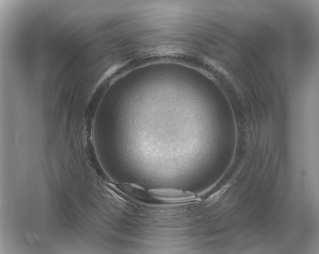 X0000067531306200604150215