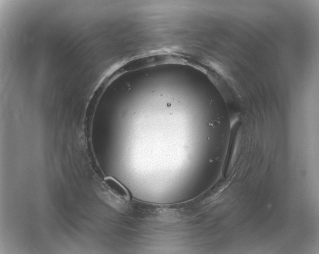 X0000067531308200604150215