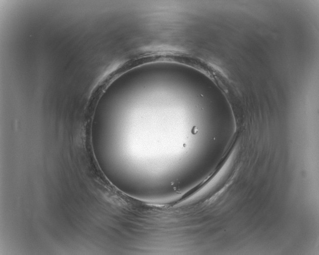 X0000067531309200604150215