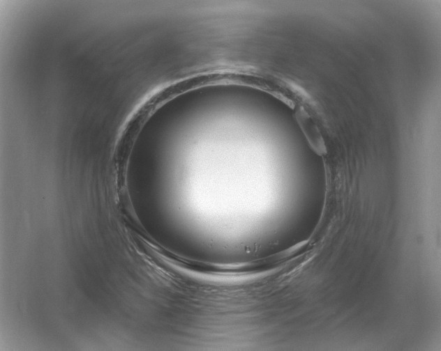 X0000067531310200604150215