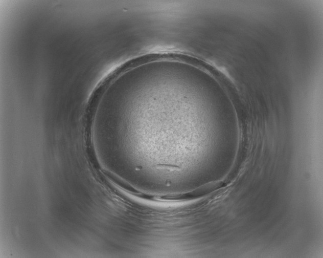 X0000067531311200604150215