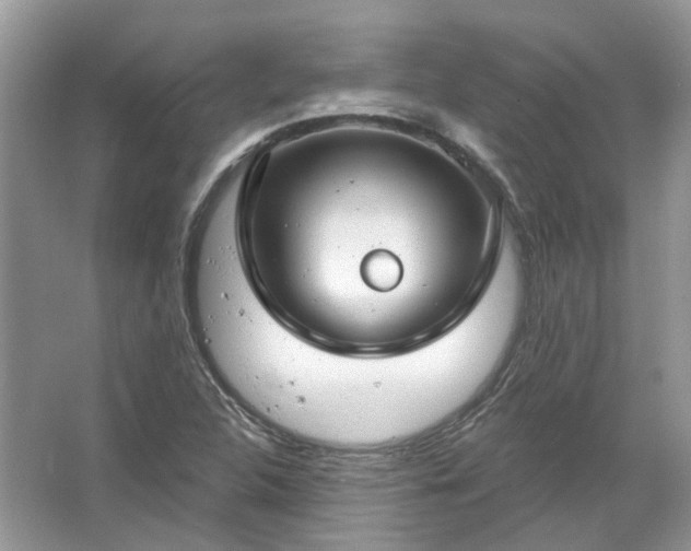 X0000067531312200604150215