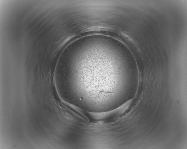 X0000067531313200604150215