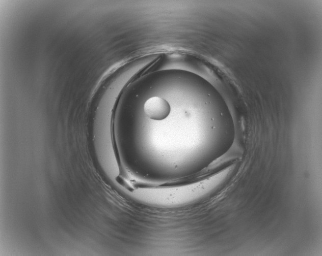 X0000067531314200604150215