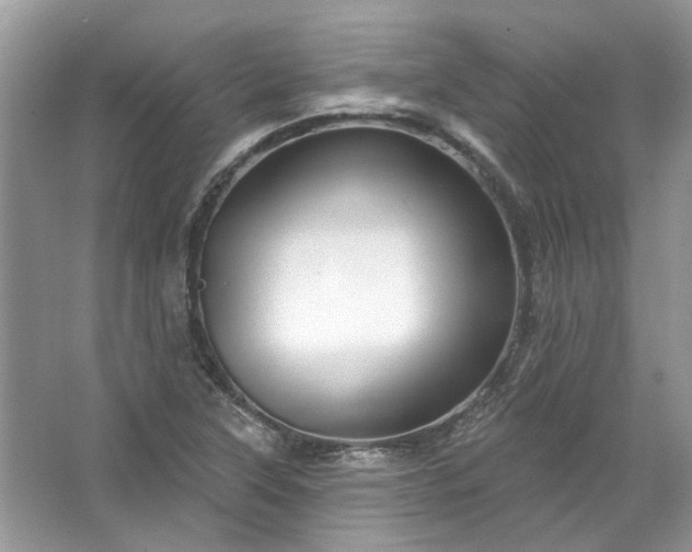 X0000067531315200604150215