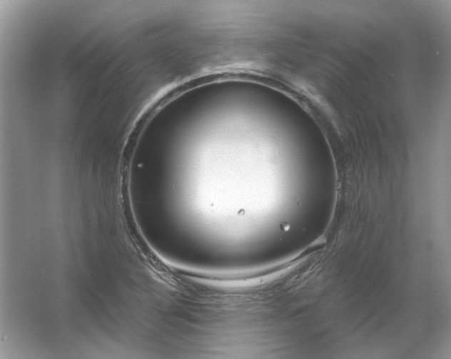 X0000067531316200604150215