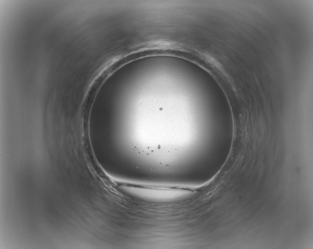 X0000067531318200604150215