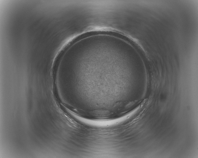 X0000067531319200604150215