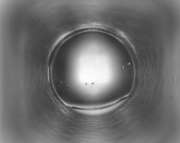 X0000067531320200604150215