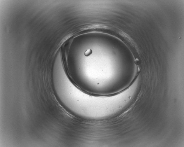 X0000067531321200604150215