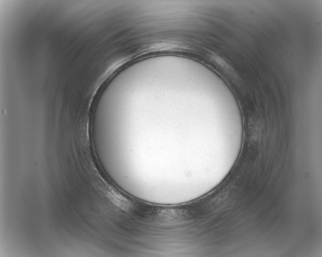 X0000067531322200604150215