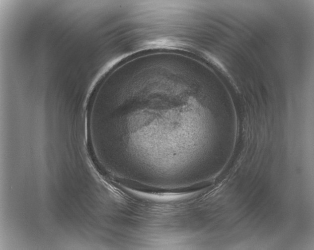 X0000067531323200604150215