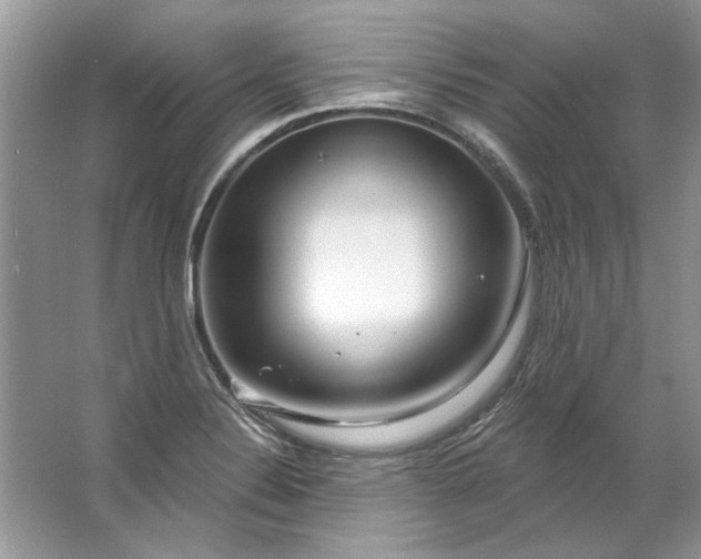 X0000067531324200604150215