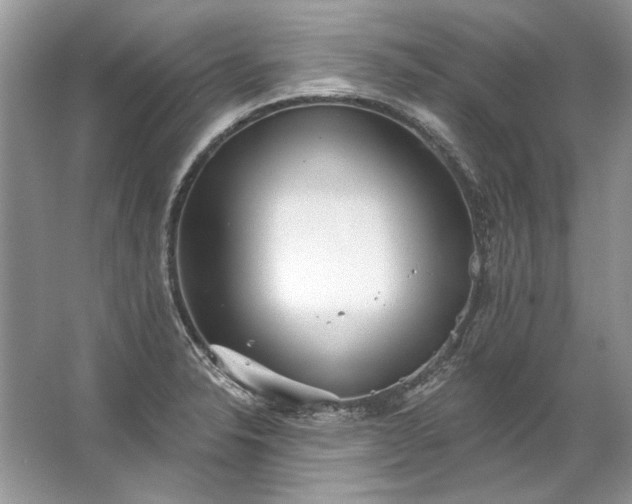 X0000067531326200604150215