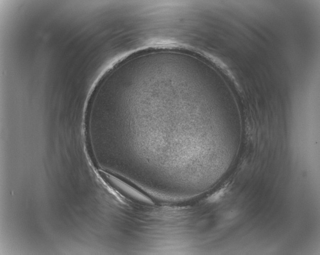 X0000067531327200604150215