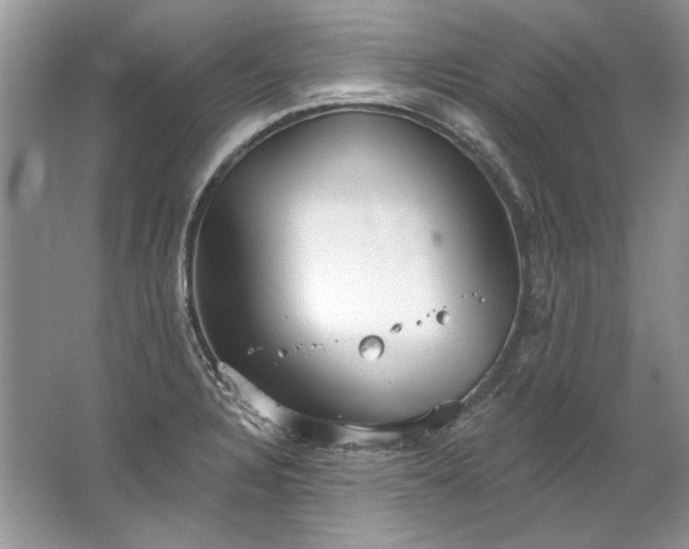 X0000067531328200604150215