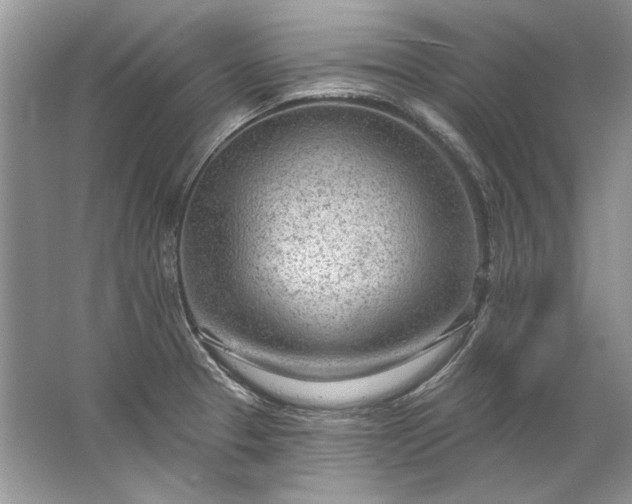 X0000067531329200604150215