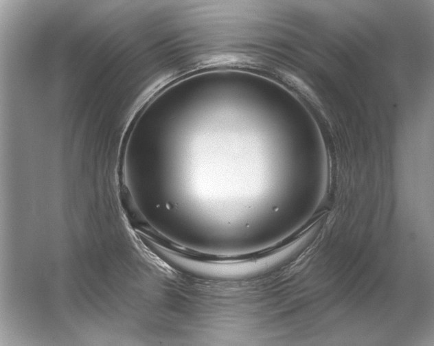 X0000067531330200604150215