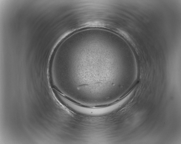 X0000067531331200604150215