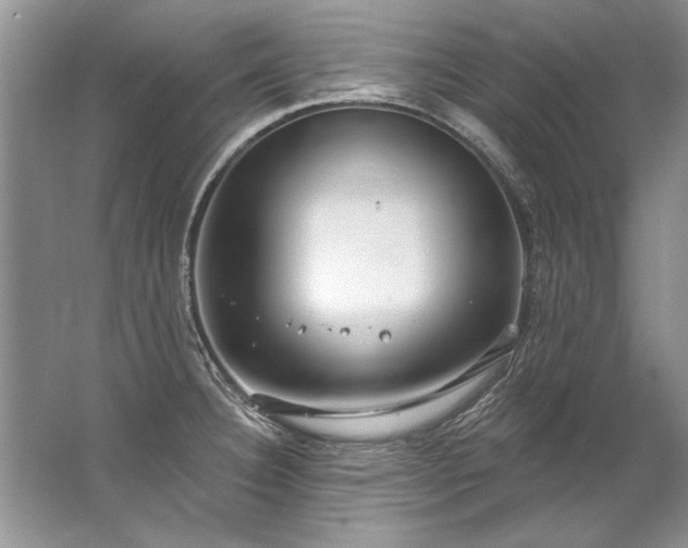 X0000067531332200604150215