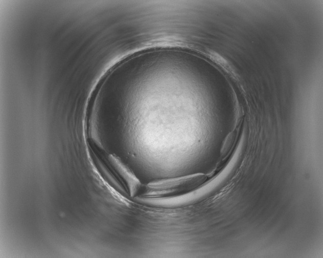 X0000067531334200604150216