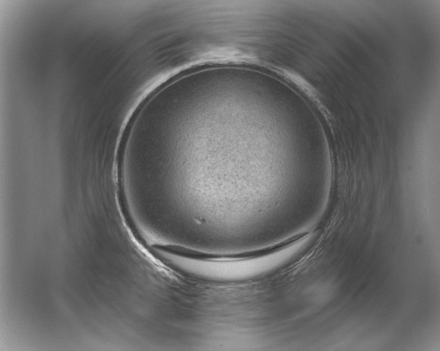 X0000067531335200604150216