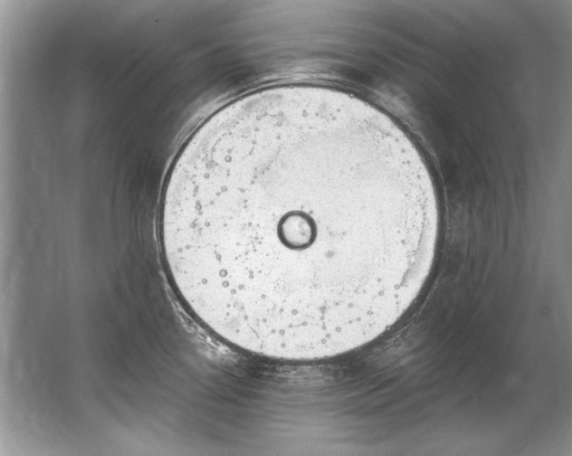 X0000067531338200604150216