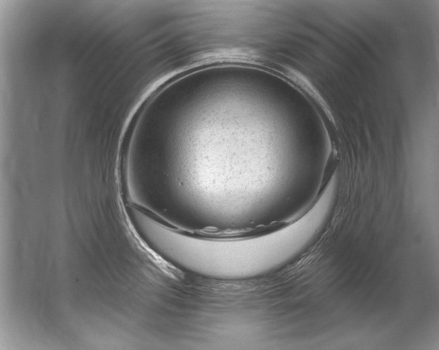 X0000067531339200604150216