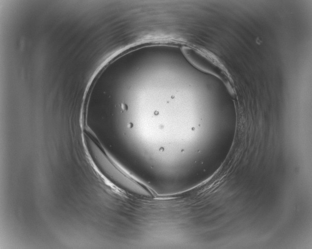 X0000067531343200604150216