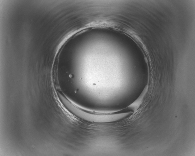 X0000067531344200604150216