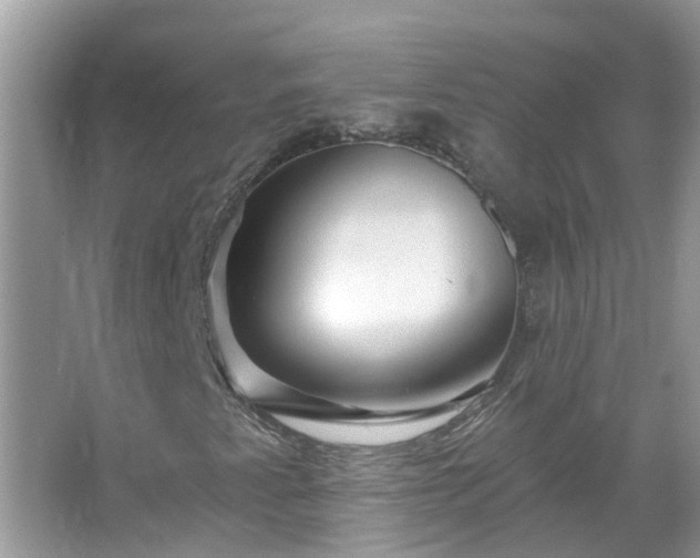 X0000067531345200604150215