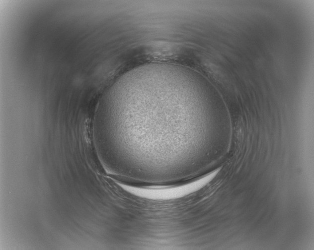 X0000067531346200604150215