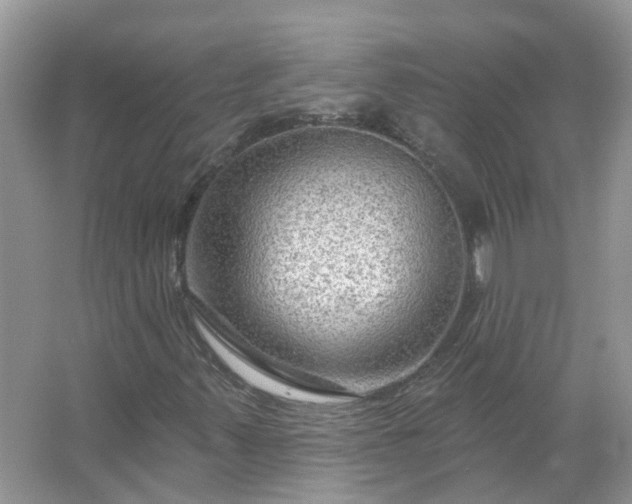 X0000067531347200604150215