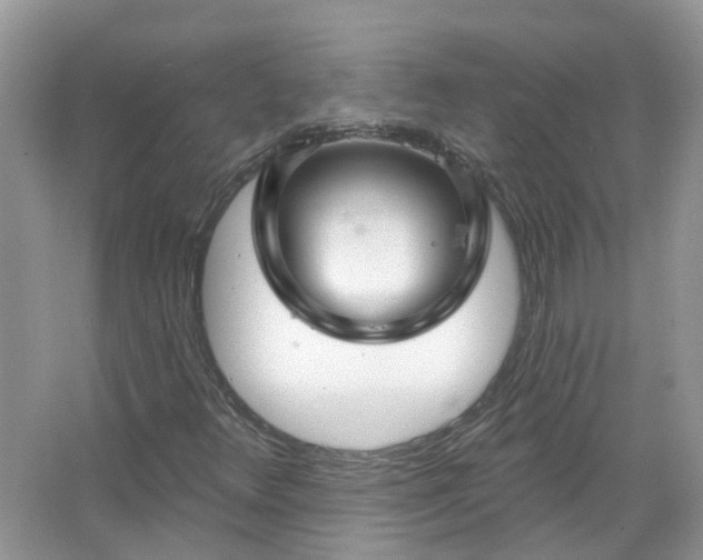 X0000067531348200604150215