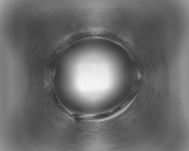 X0000067531349200604150215