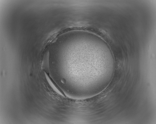 X0000067531350200604150215